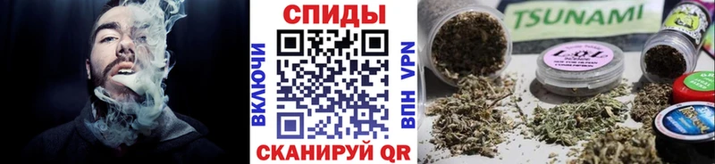 Бутират буратино  Сосенский 